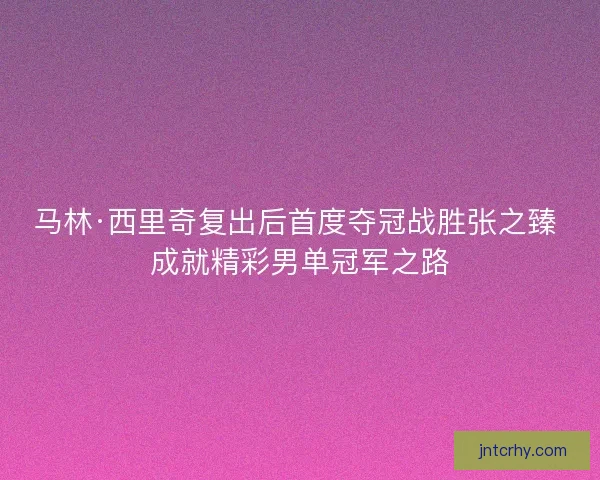 马林·西里奇复出后首度夺冠战胜张之臻 成就精彩男单冠军之路